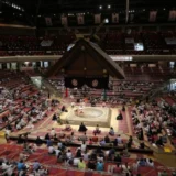 溜席（たまりせき）の妖精にも注目！大相撲の席の種類や料金を調査